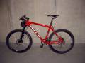 Pells razzer Pro D